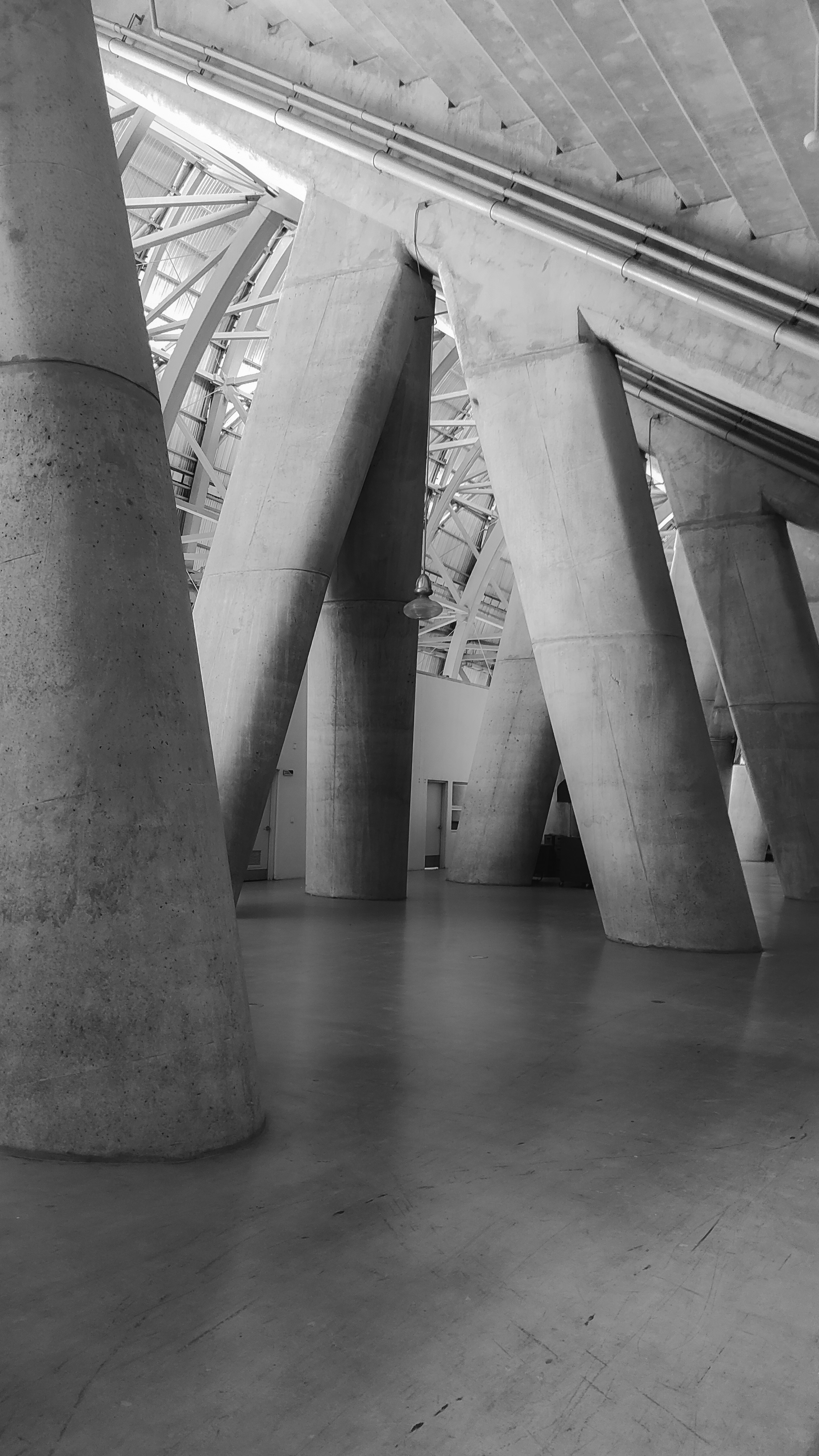 William Frei professional portrait